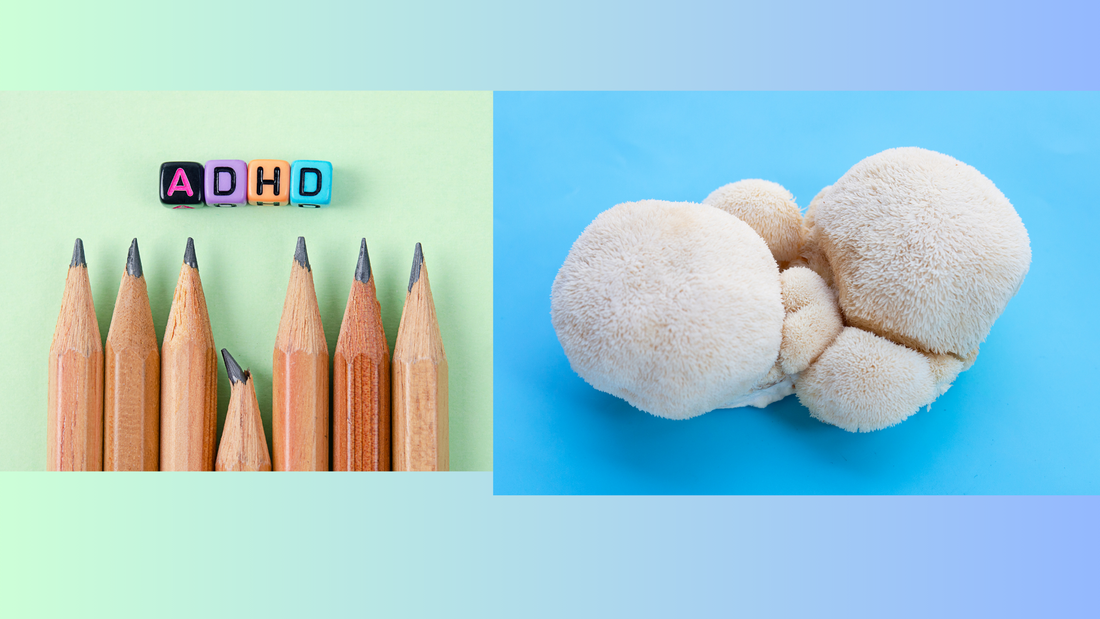 ADHD and Lion's Mane: A valuable resource in a holistic care approach